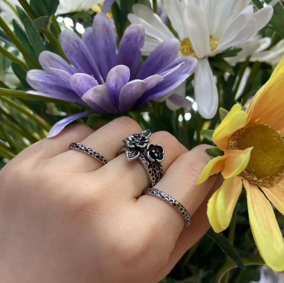 Conjunto de Anillos Británicos