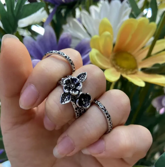 Conjunto de Anillos Británicos