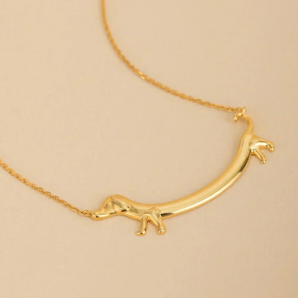 Encantador collar de perro salchicha para amantes de los animales y ropa elegante
