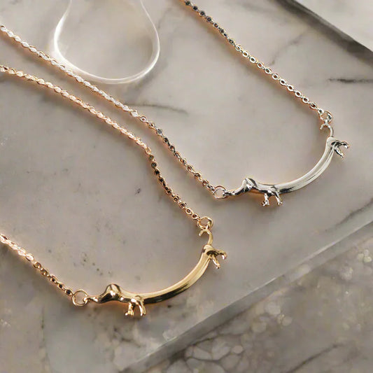 Encantador collar de perro salchicha para amantes de los animales y ropa elegante